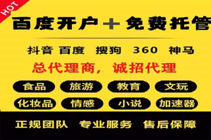 行业标杆的SEM竞价营销案例研究
